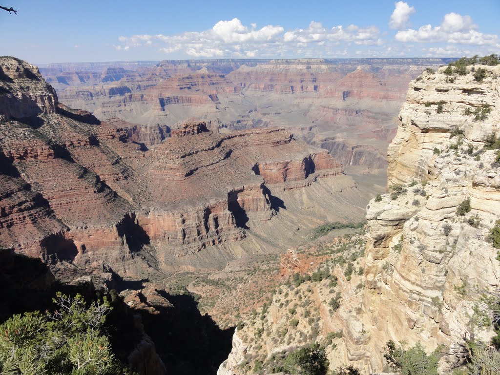 Rim view 10-19-10 by teton_dave