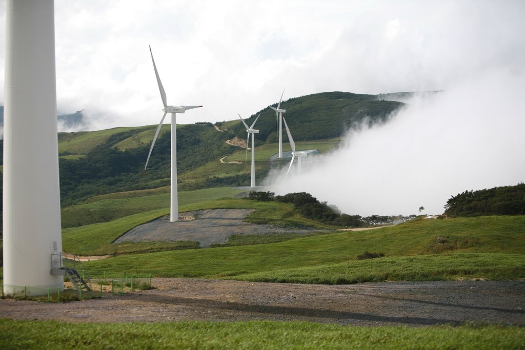 Wind power generators and fog in top of Samyang pasture by Heehong,Yoon