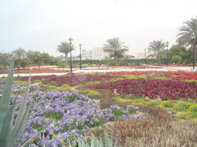 Al Wakrah Park, Al Wakrah, Qatar by de2tia