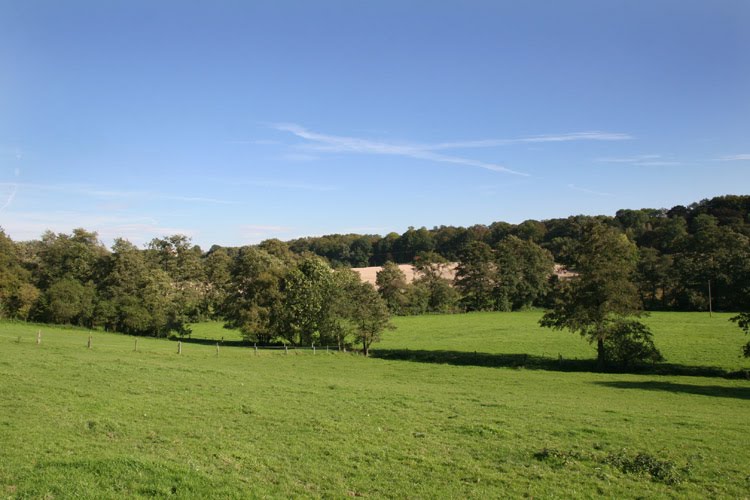 Wald und Weideland bei Düssel by Natur- und Umweltfotografie, G. Czepluch