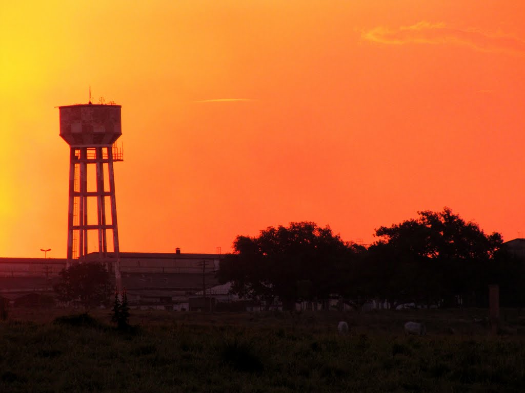 Fim de dia - Campinas, SP, Brasil. by André Bonacin