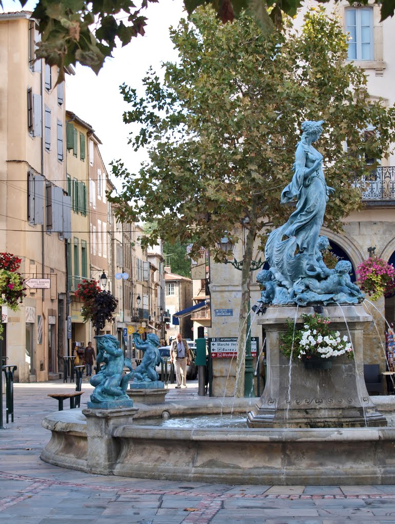 Fountain in the Place de la Republique, Limoux. by andy