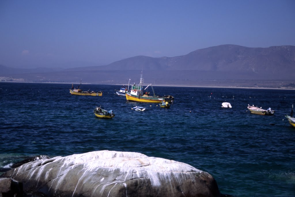 Mar, Chile by Diego Espinosa