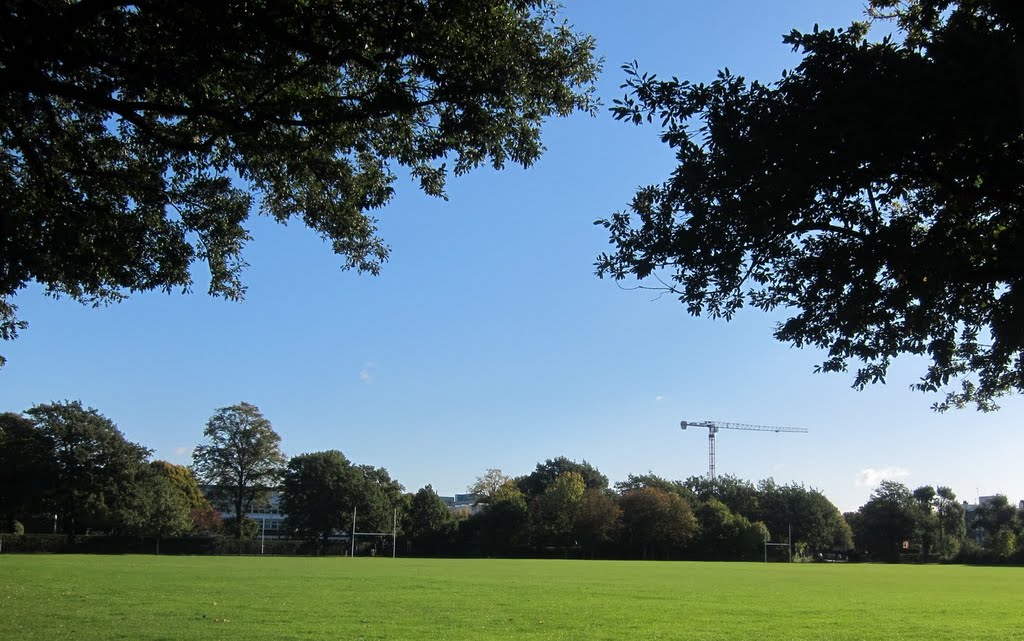 Garratt Green, Earlsfield by curns