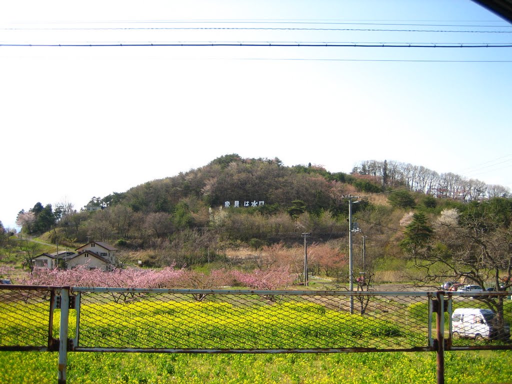 Yellow-green, yellow, pink by addh Save Panoramio