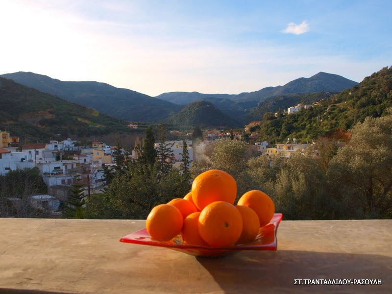 FODELE with oranges (Το Φόδελε φημίζεται για τα εξαιρετικά πορτοκάλια του) -Greece -Photo by ST. TRANTALLIDOU-RASOULI by Stella Trantallidou …