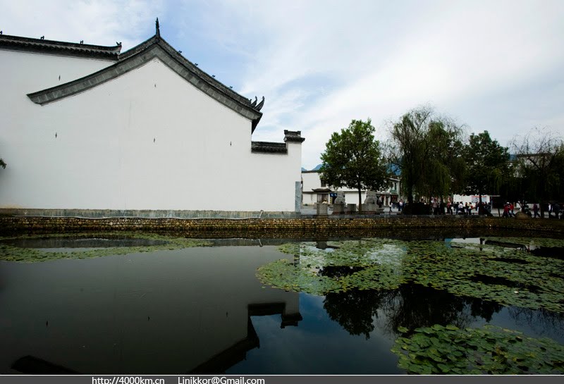 婺源江湾村的池塘和建筑 by nikkor li