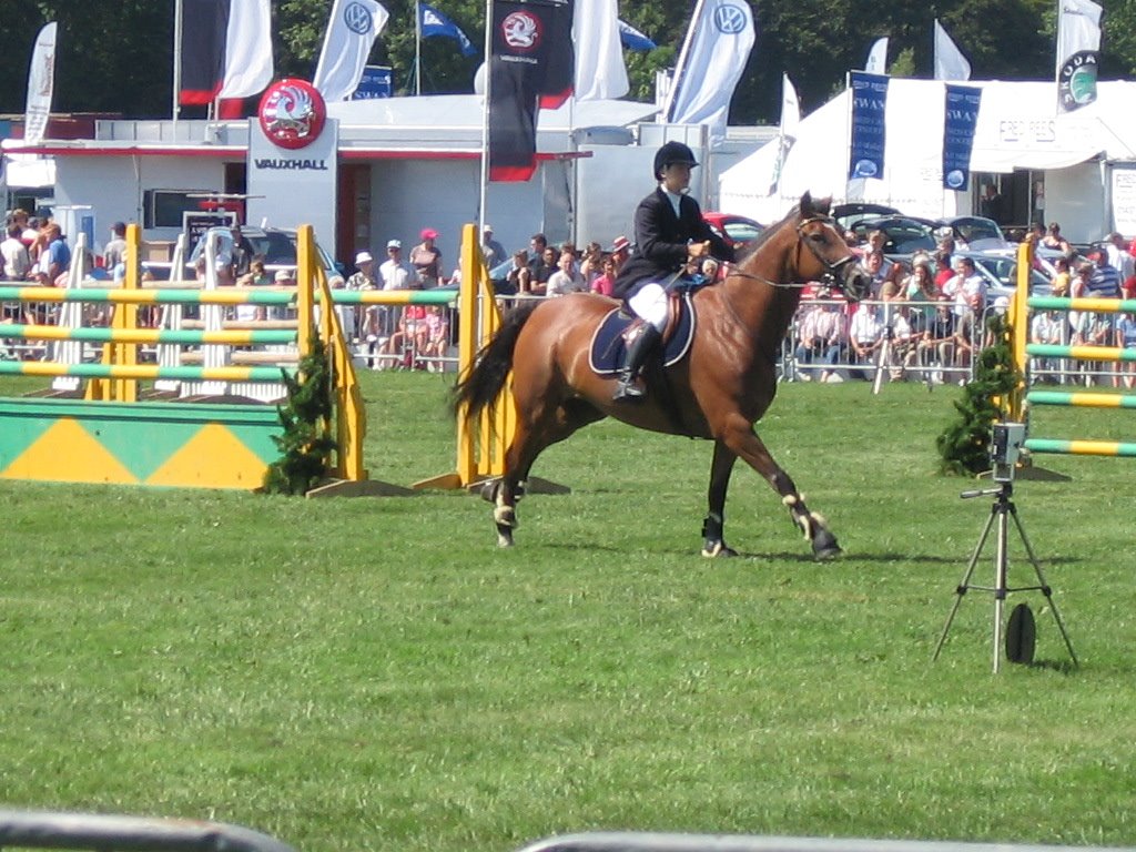 Show jumping at county show 2006 by deca9293