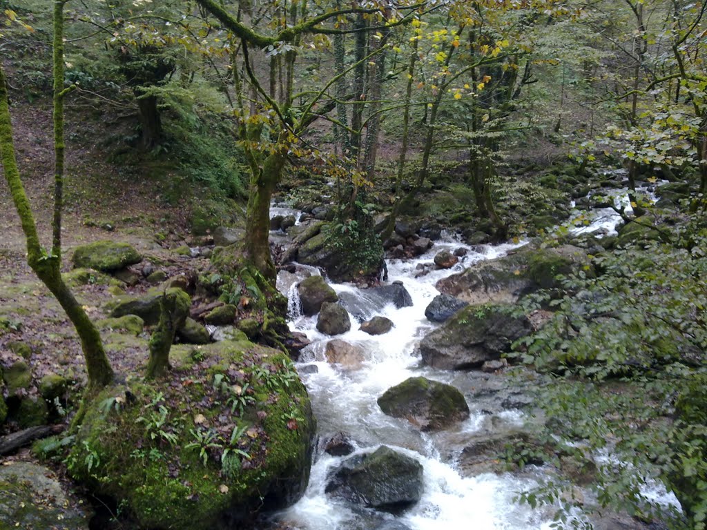 Qaleh Rudkhan, Gilan Province, Iran by mahdi.ghanbaripour