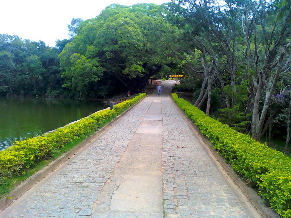 Parque da Lagoa do Nado by Juninho BH