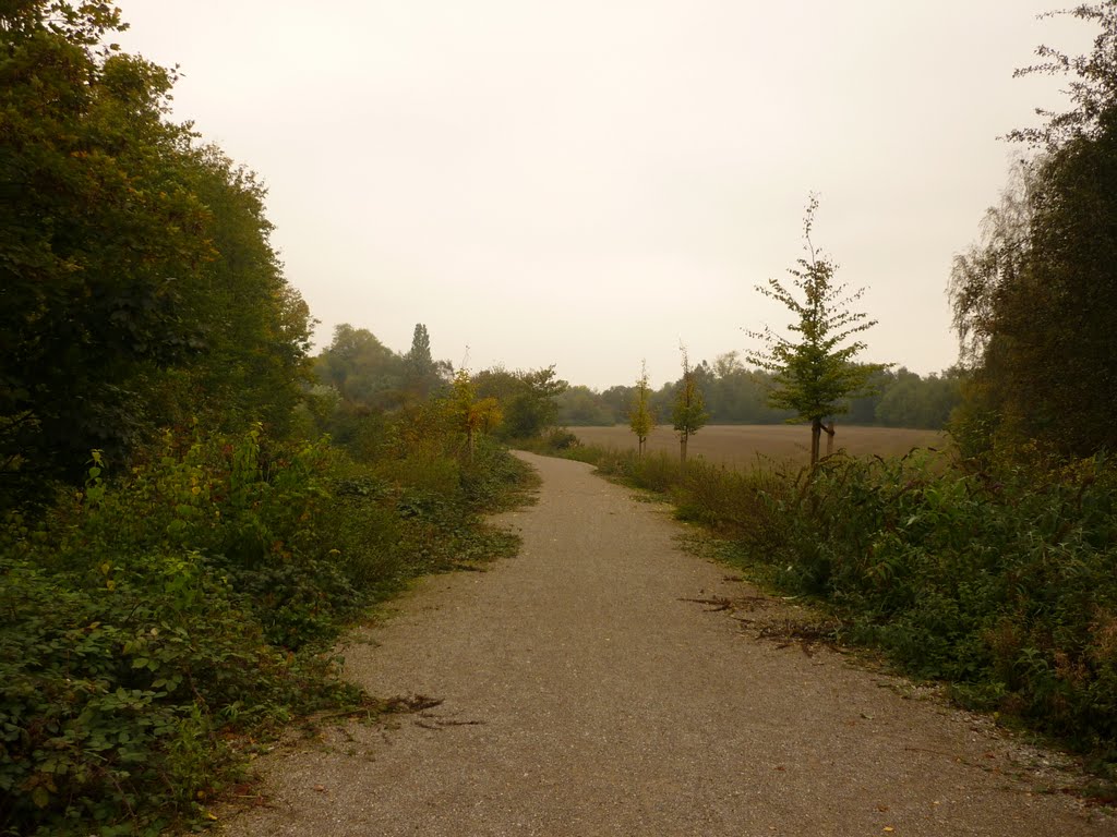 Radweg auf der ehem. Lothringen-Zechenbahn (Bochum-Hiltrop) / 17.10.2010 by Iceman93 / NO VIEWS!!!