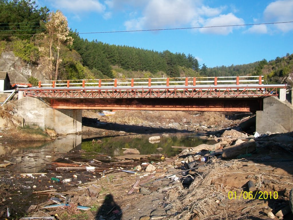 Puente Los Pellines by aprovost