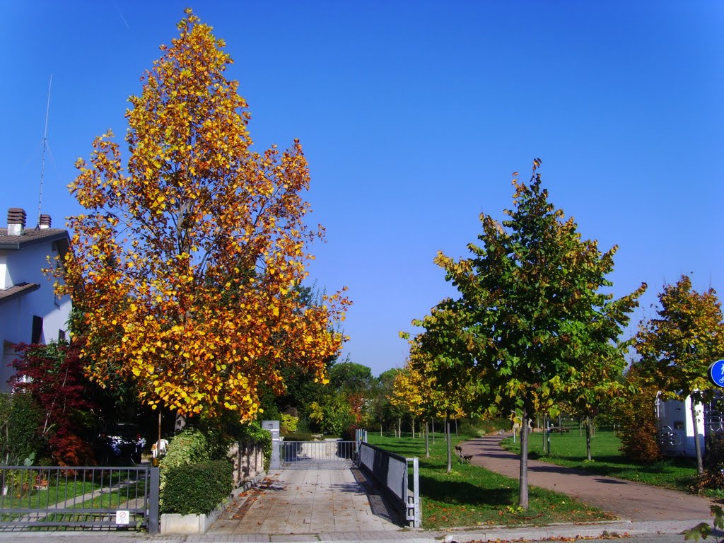 Faenza - Via Lacchini - Colori d'Autunno (20/10/2010) by esse est reminisci (…