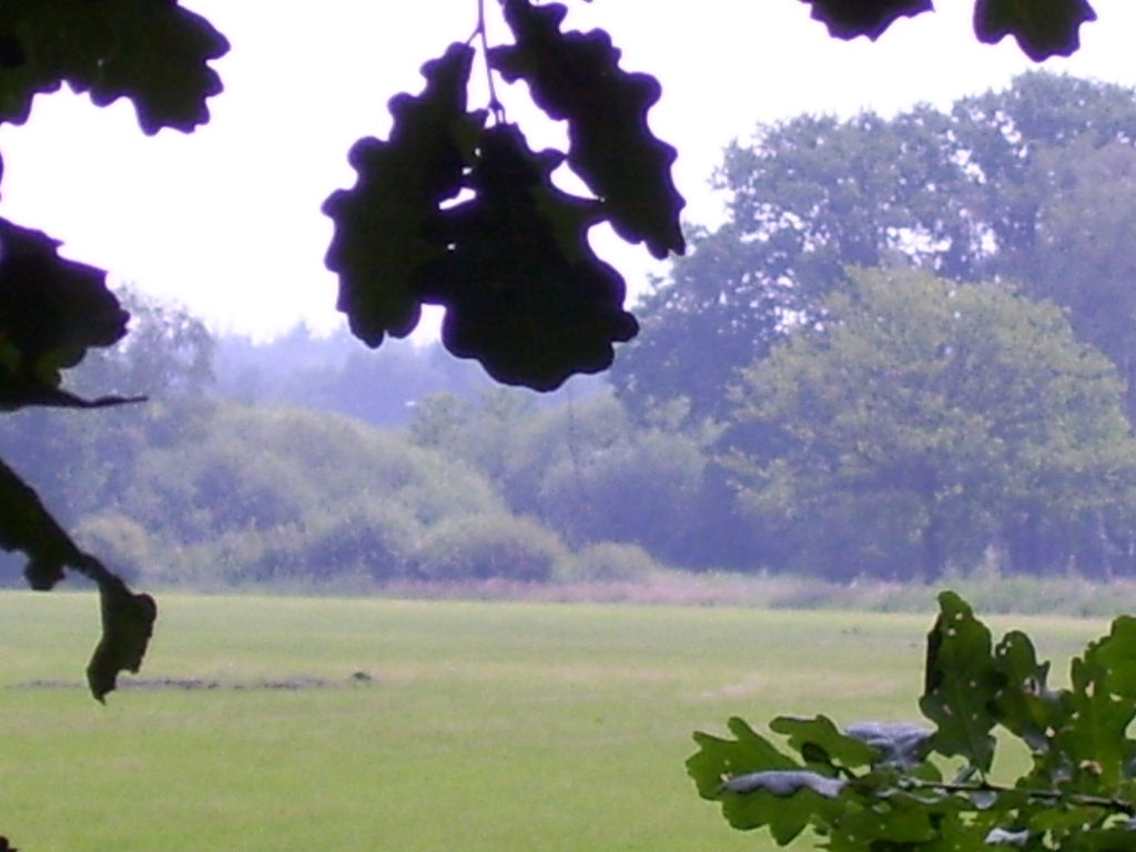 Natuur bij aalst by christiaan vd akker