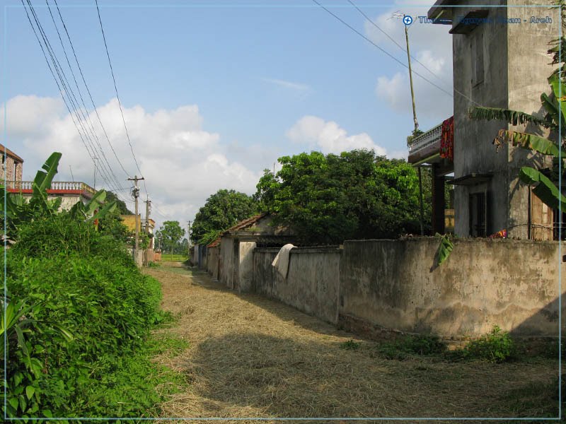 Ngày mùa by Thắng Nguyễn Xuân