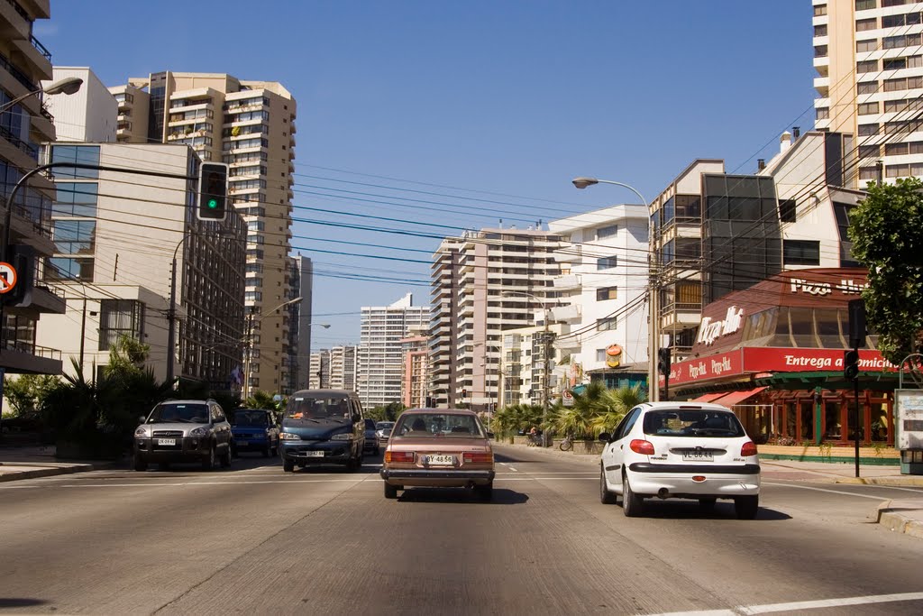 Viña del Mar, Chile by Diego Espinosa