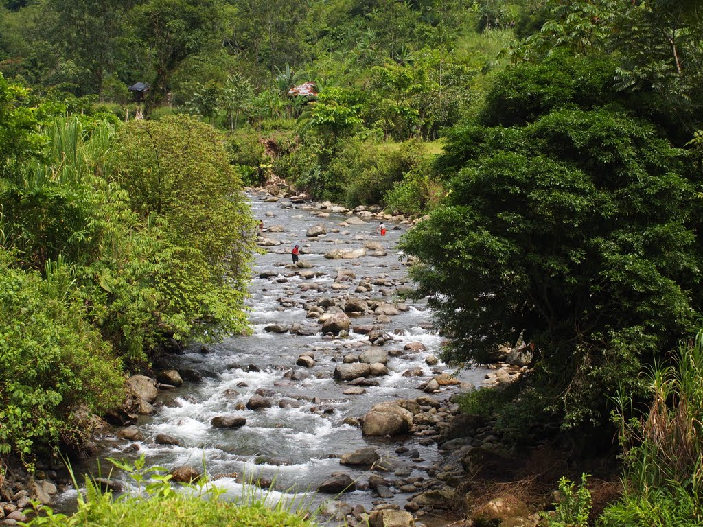 Rio Chaver, Mutata Uraba by Mauricio Agudelo