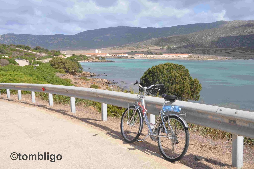 Sardinien (Italy) - P.N. Dell' Asinara 3 by ©tombligo.ch