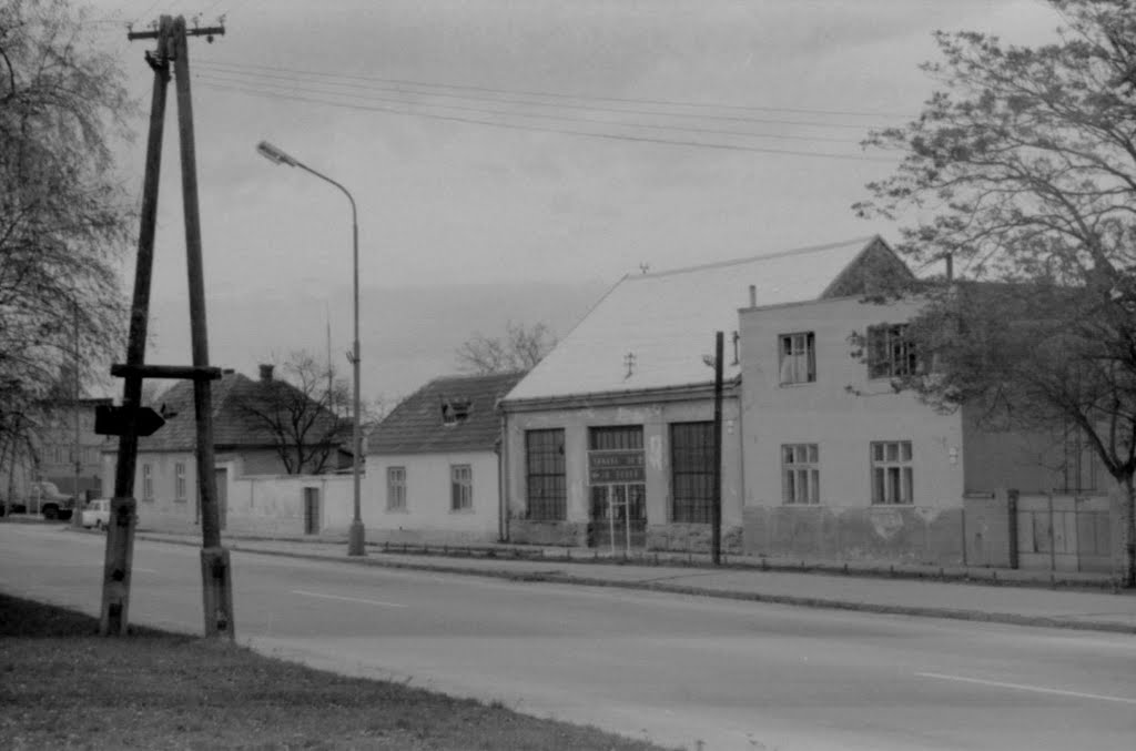 Starý Hlohovec - pred cintorínom (1981) by Ján Ješko