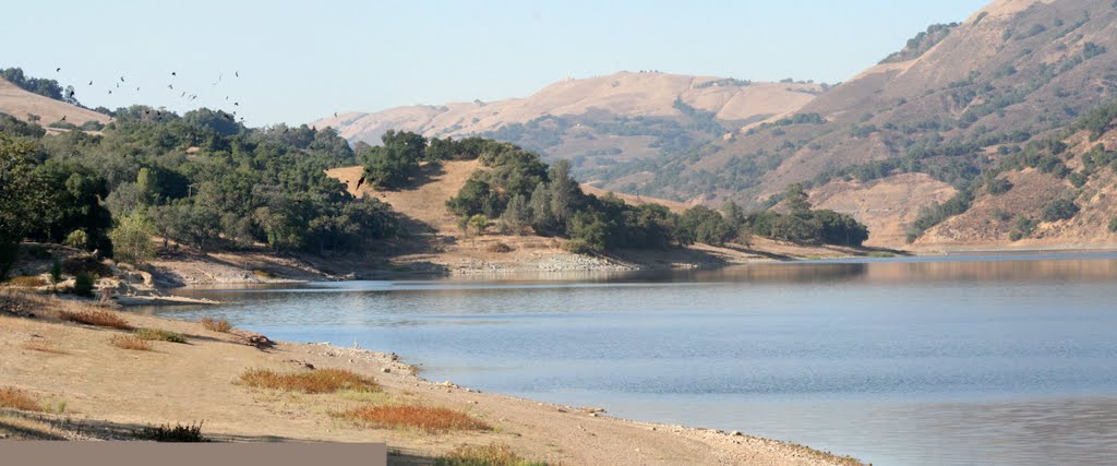 Coyote Lake 10/19/10 by Edward Rooks