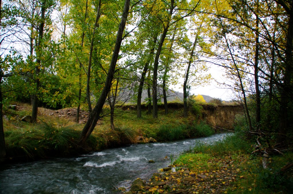 Río Mayor: Riberas en otoño II by Alberto Asensio