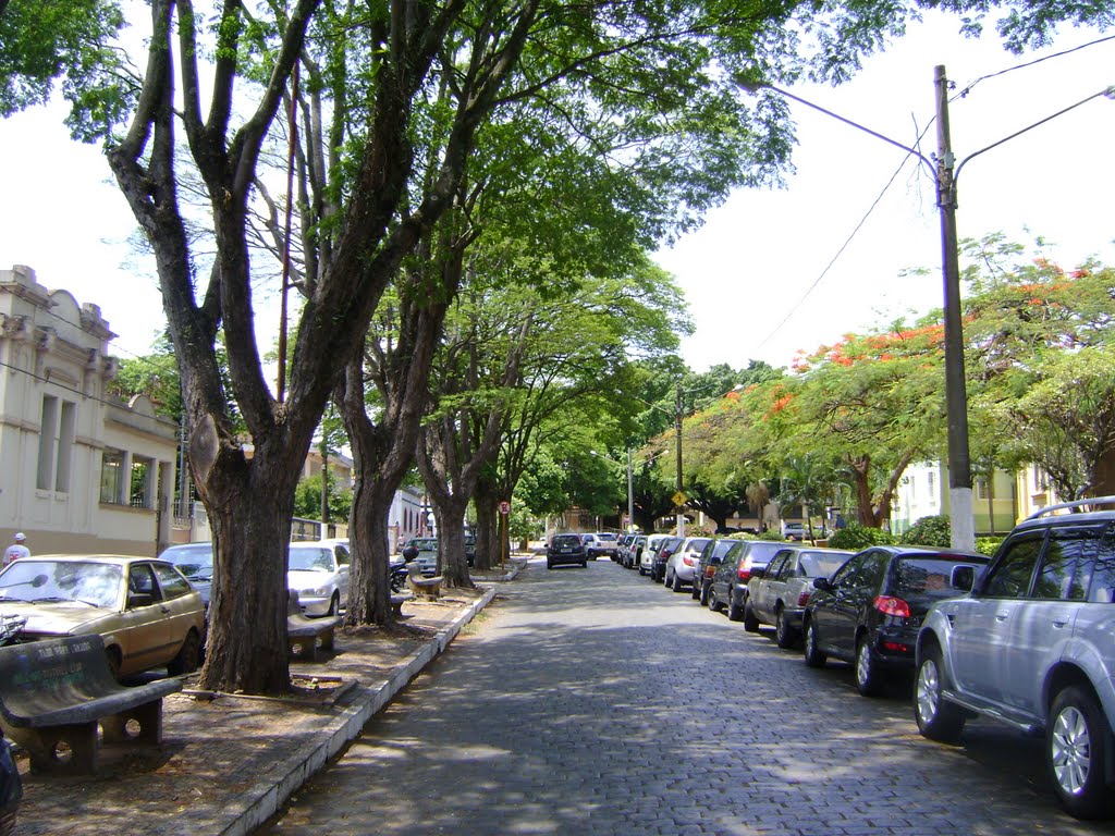 Pirassununga - Centro - bela rua arborizada by Alexander Denarelli