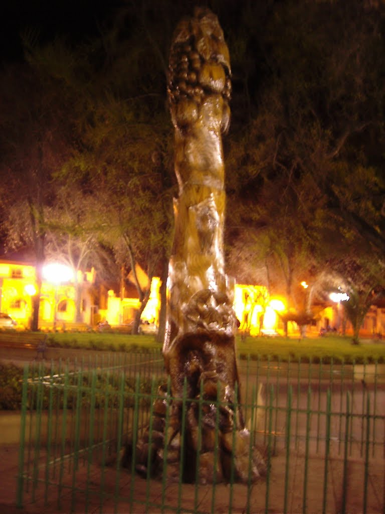 Escultura en plaza de Buin, foto nocturna by Pablo Contreras