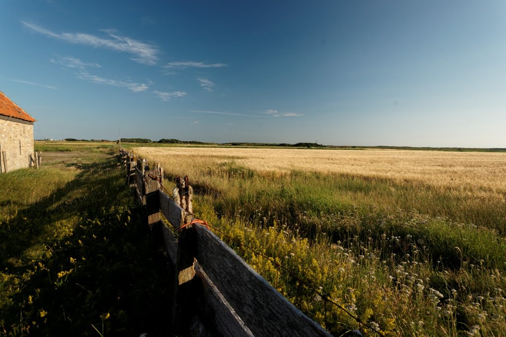 Texel - Watermolenweg - View SSW by txllxt TxllxT