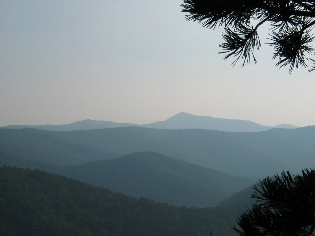 View from AT above Rockytop Overlook by rootboy