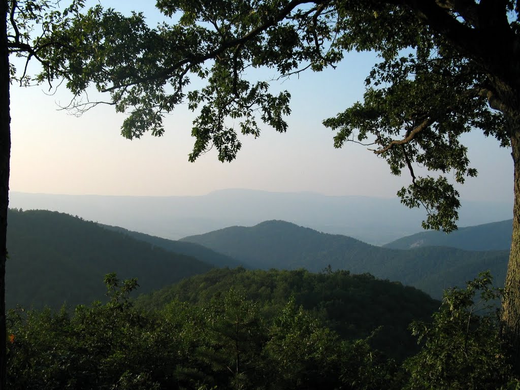 View from Brown Mountain Overlook by rootboy