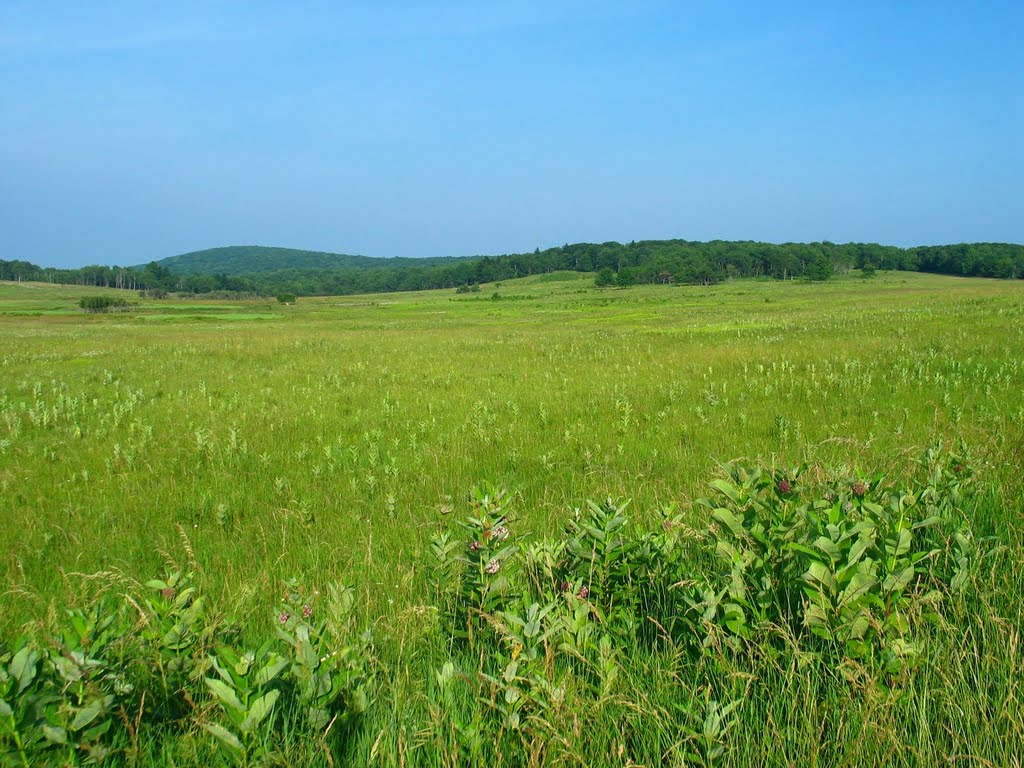 Big Meadows by rootboy