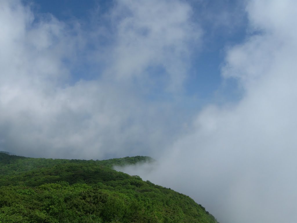 Clouds spilling through gap by rootboy