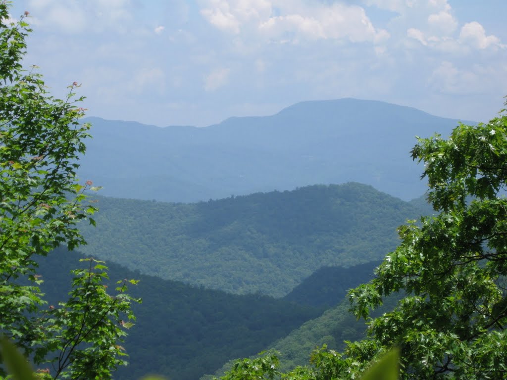 View of Coweeta area from Big Butt by rootboy