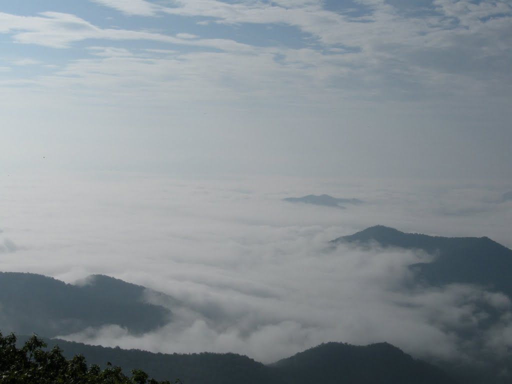 View from Wayah tower by rootboy