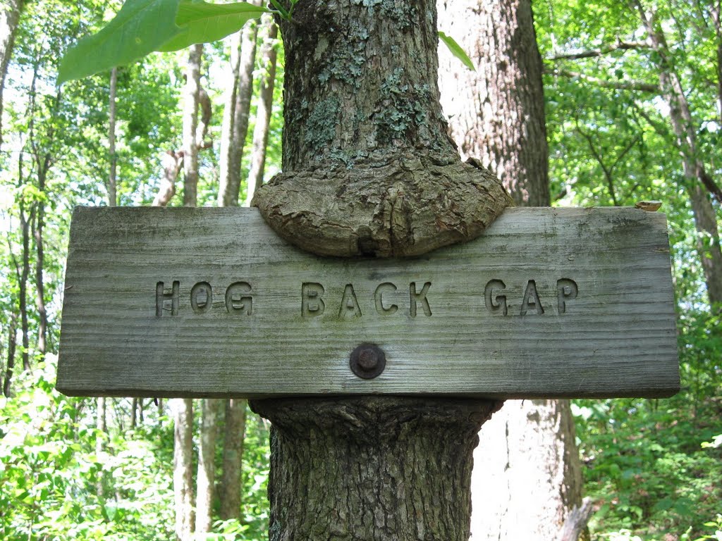 Hogback Gap by rootboy