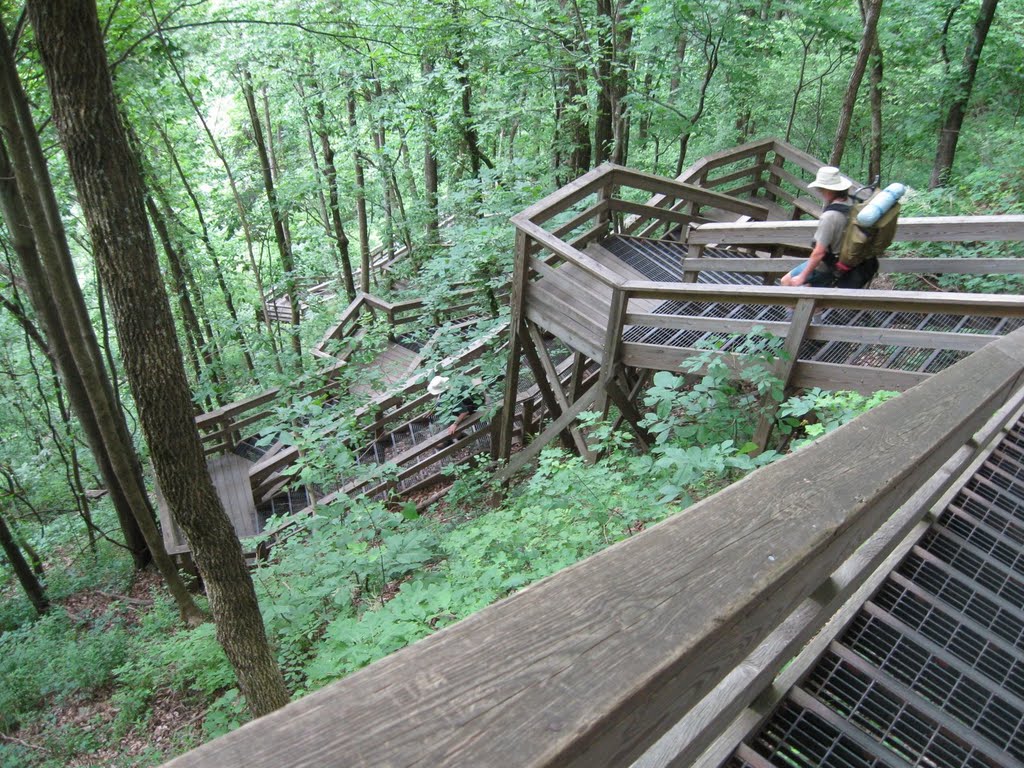 Hikers on winding stairs, Amicalola Falls State Park by rootboy