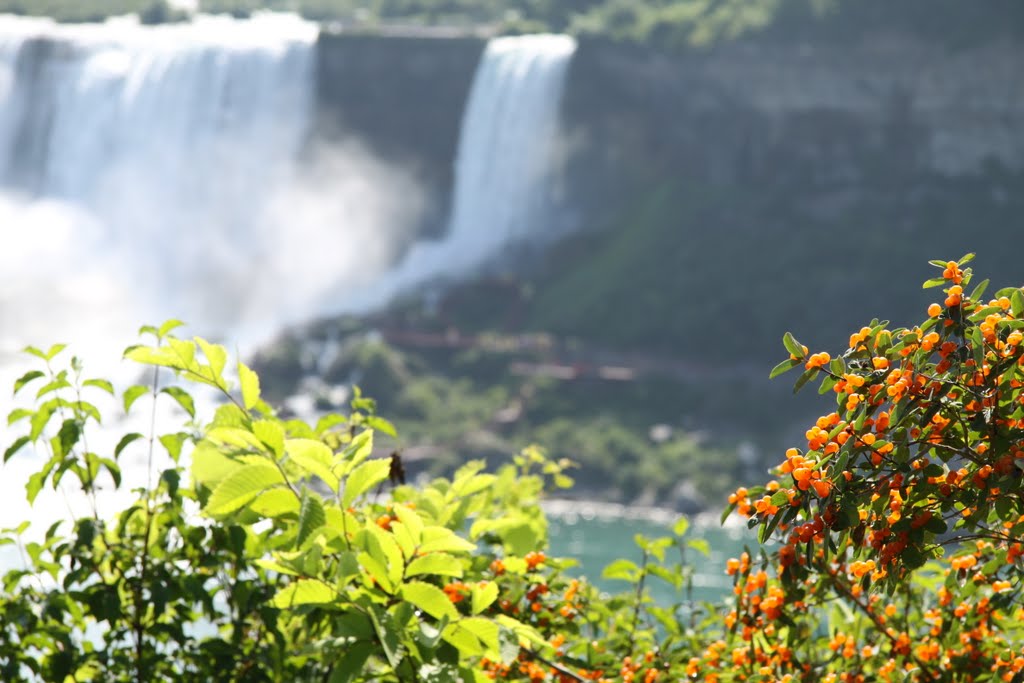 Nature and Falls by Chadi1979