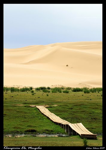 Bridging the Dunes by L.V. Pht