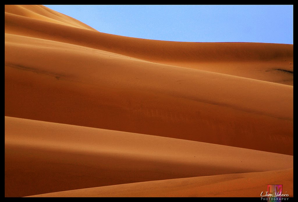 Dunes' Curves by L.V. Pht