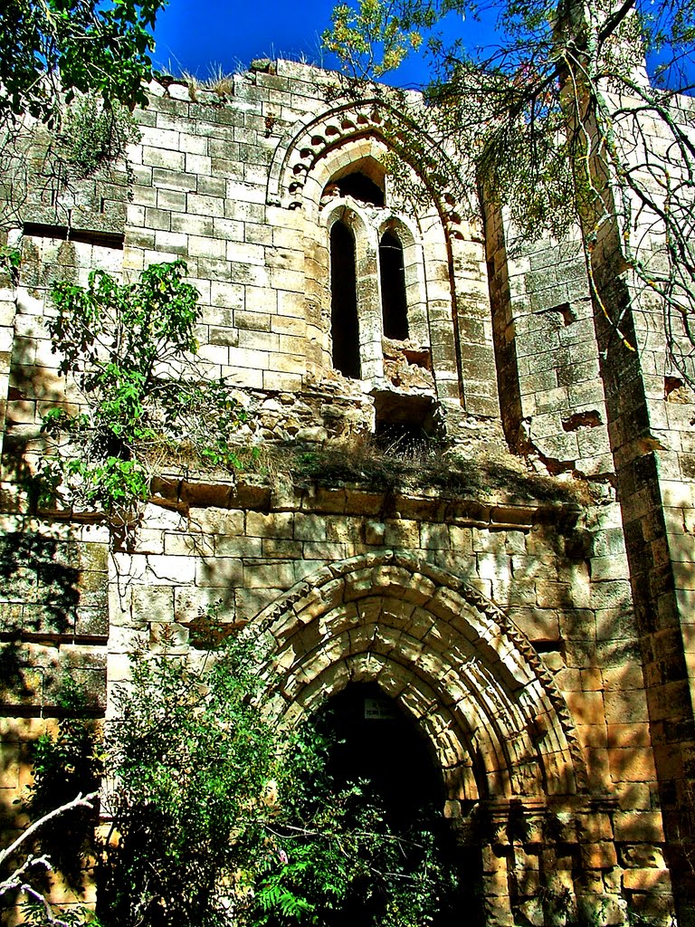 Ruinas del monasterio cisterciense de Bonaval by Jesús Chicharro