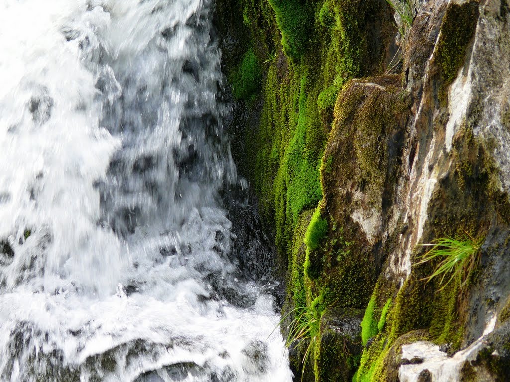 Water, moss & stone by valentin_orlov