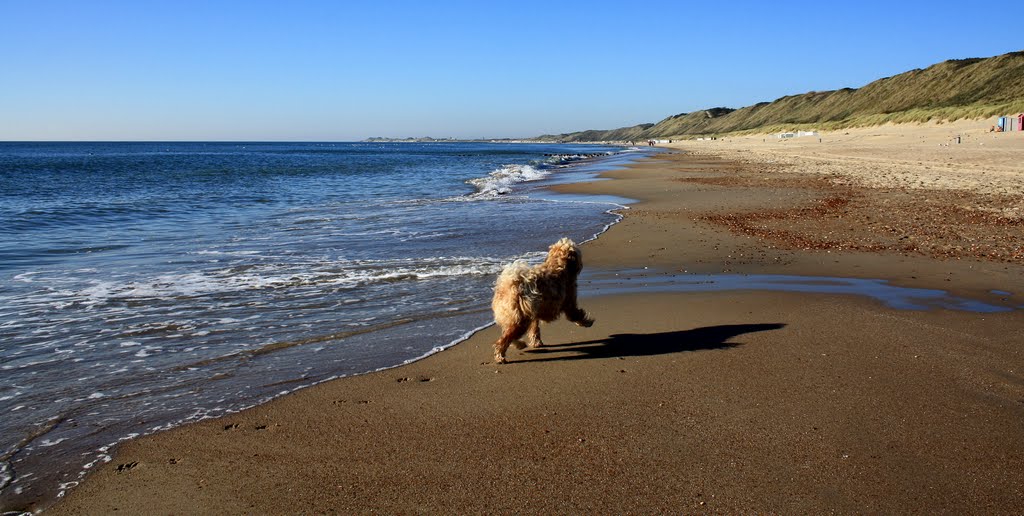 Fun on the beach by Annelies Vink