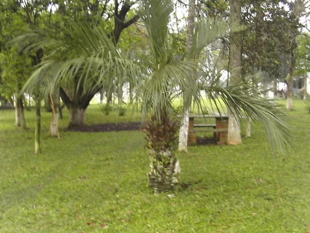 Planta Bosque Centenario, Piraquara - PR, Brazil by Alexandre Kuchenny