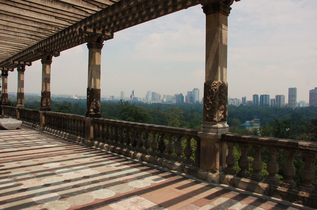 Chapultepec Forest and Polanco Skyline by Jorge Martinez R