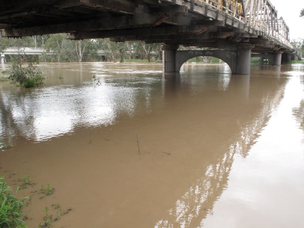 Flood October 2010: Hampden Bridge from one side by snucklepuff