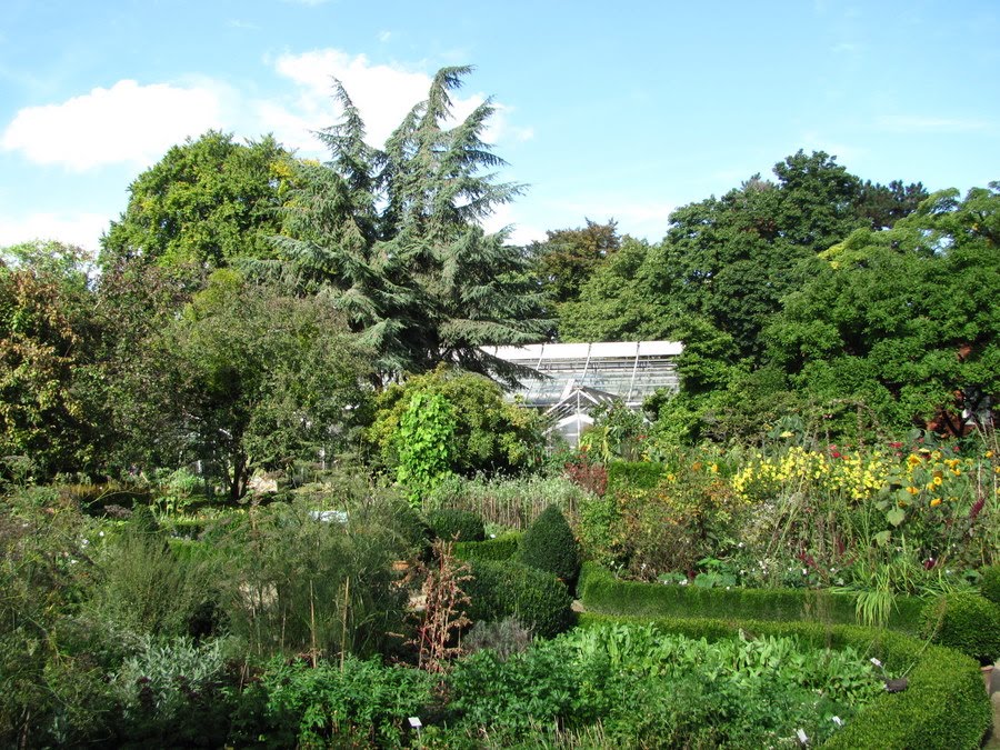 Kräutergarten im Botanischen Garten by Chris1970