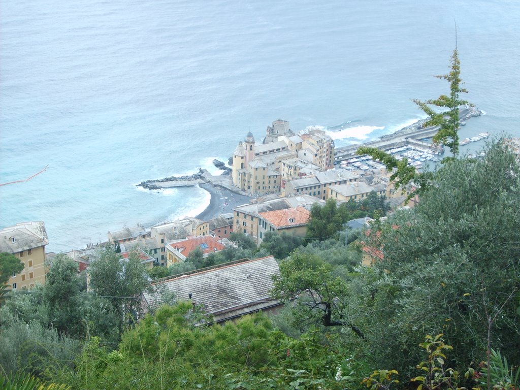 Vista di Camogli by Enrico Cambiaso