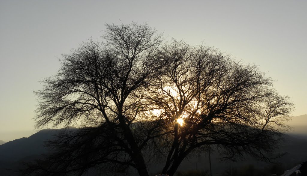 Amanecer, Aeródromo Chacabuco by horacioparrague