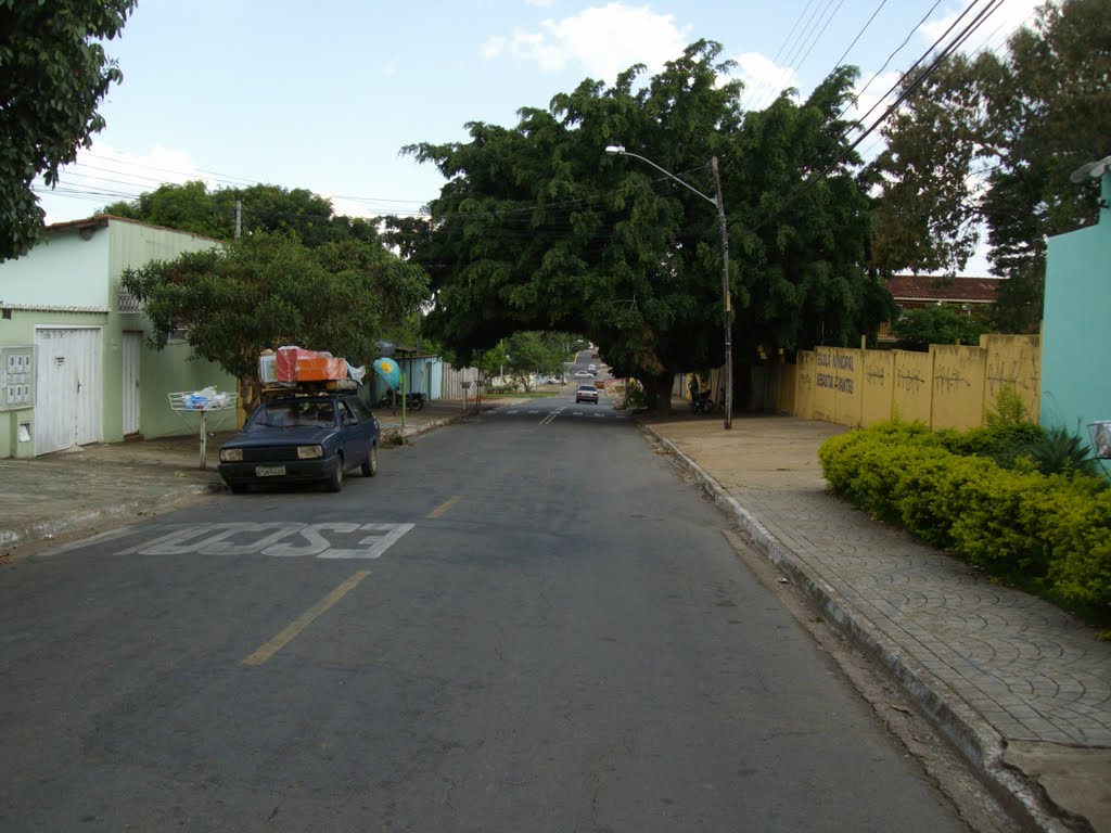 Rua Caramuru Jardim da Luz by carlos antonio coelh…