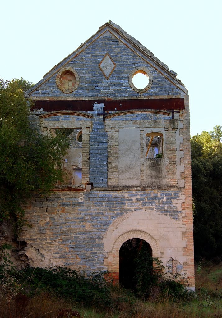 Rubinat, Ribera d'Ondara, la Segarra, Lleida by Angela Llop